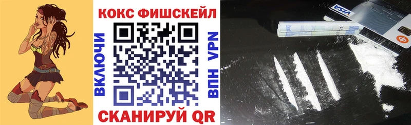 как найти   Сенгилей  КОКАИН Fish Scale 