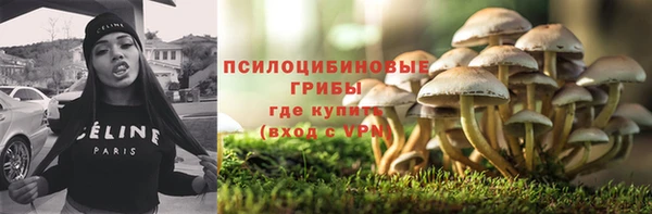 spice Алексеевка