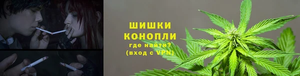 spice Алексеевка