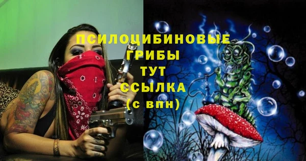 spice Алексин